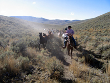 USA-Idaho-Medicine Lodge Horse Drive